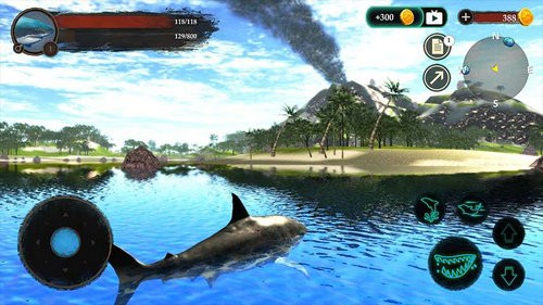 鲨鱼模拟无限经验版